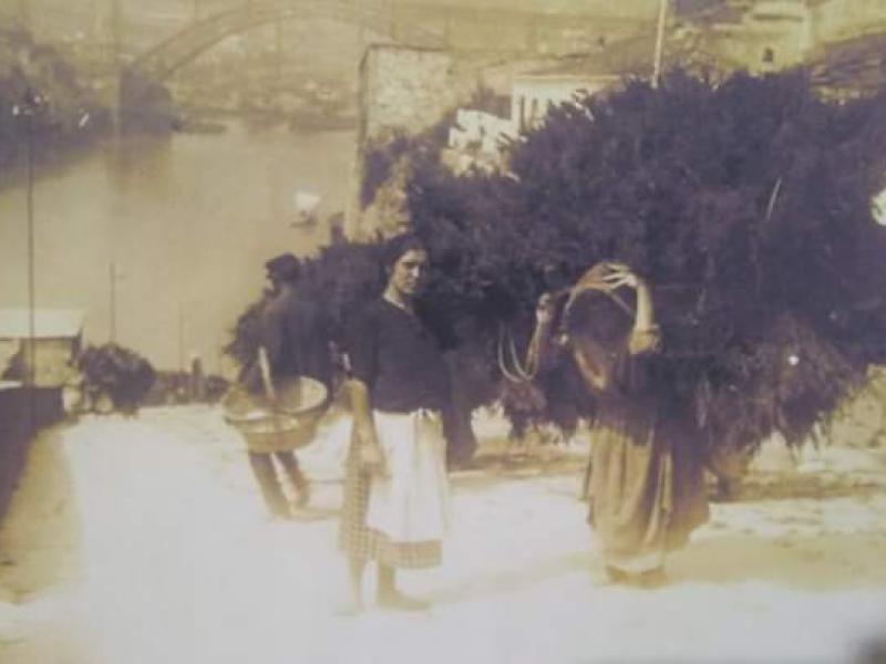 Fotografia principal da galeria A Calçada das Carquejeiras no Porto